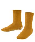 curcuma