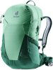 spearmint-seagreen