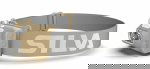 Terra Scout H