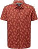 clay red