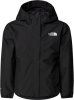 TNF black